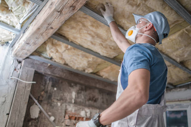 Best Commercial Insulation in South Run, VA