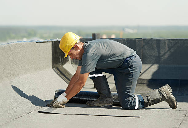 Best Specialized Insulation Services in South Run, VA