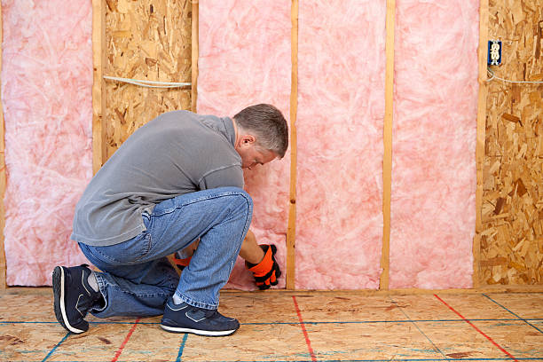 Best Eco-Friendly Insulation in South Run, VA