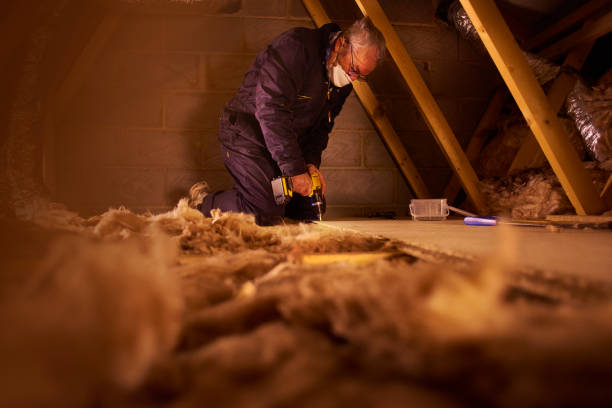 Best Cellulose Insulation in South Run, VA